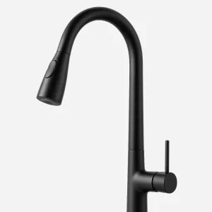 Torneira para Cozinha - Monocomando com Bica Extensiva